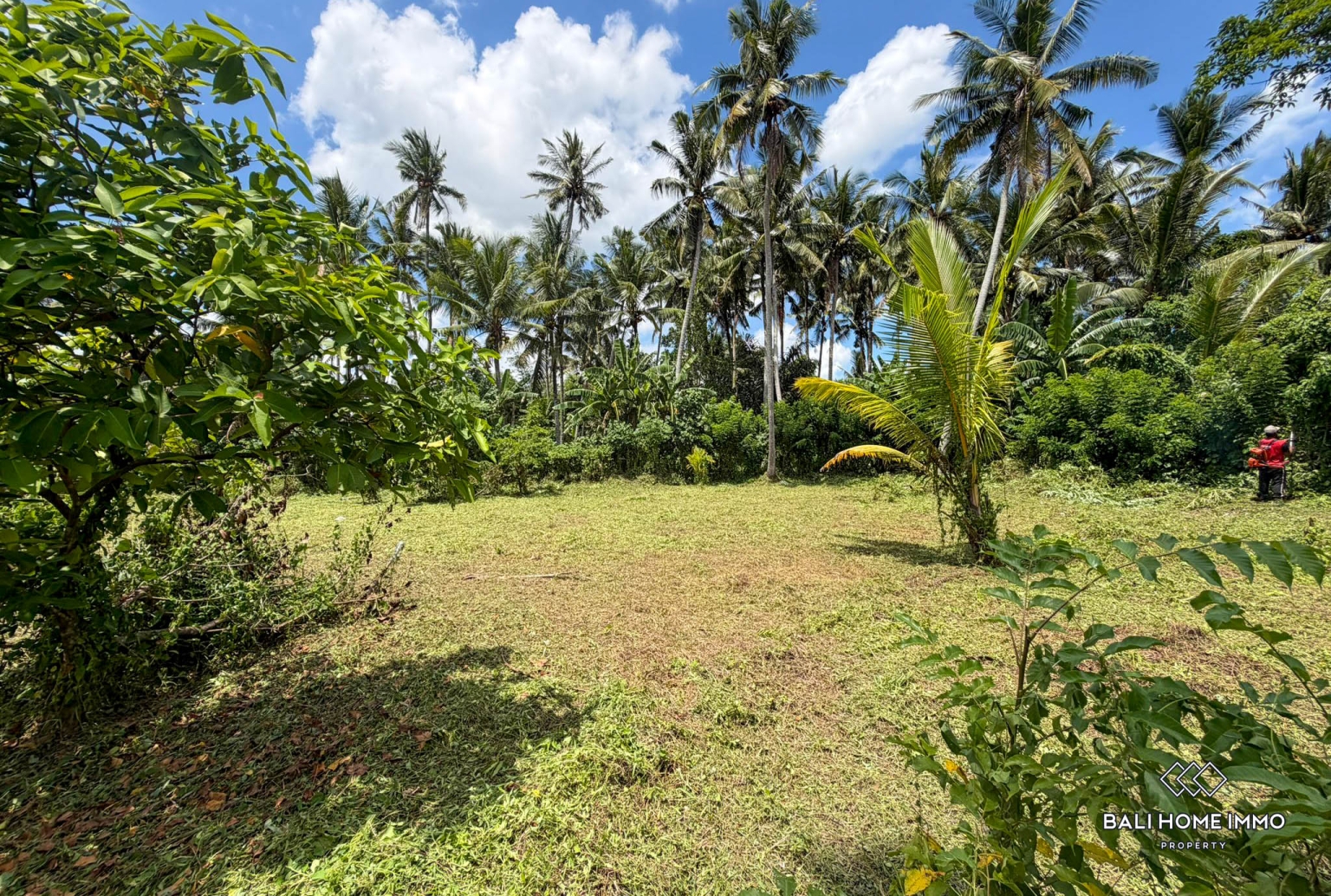 Strategic Land For Sale in Kedungu view 3