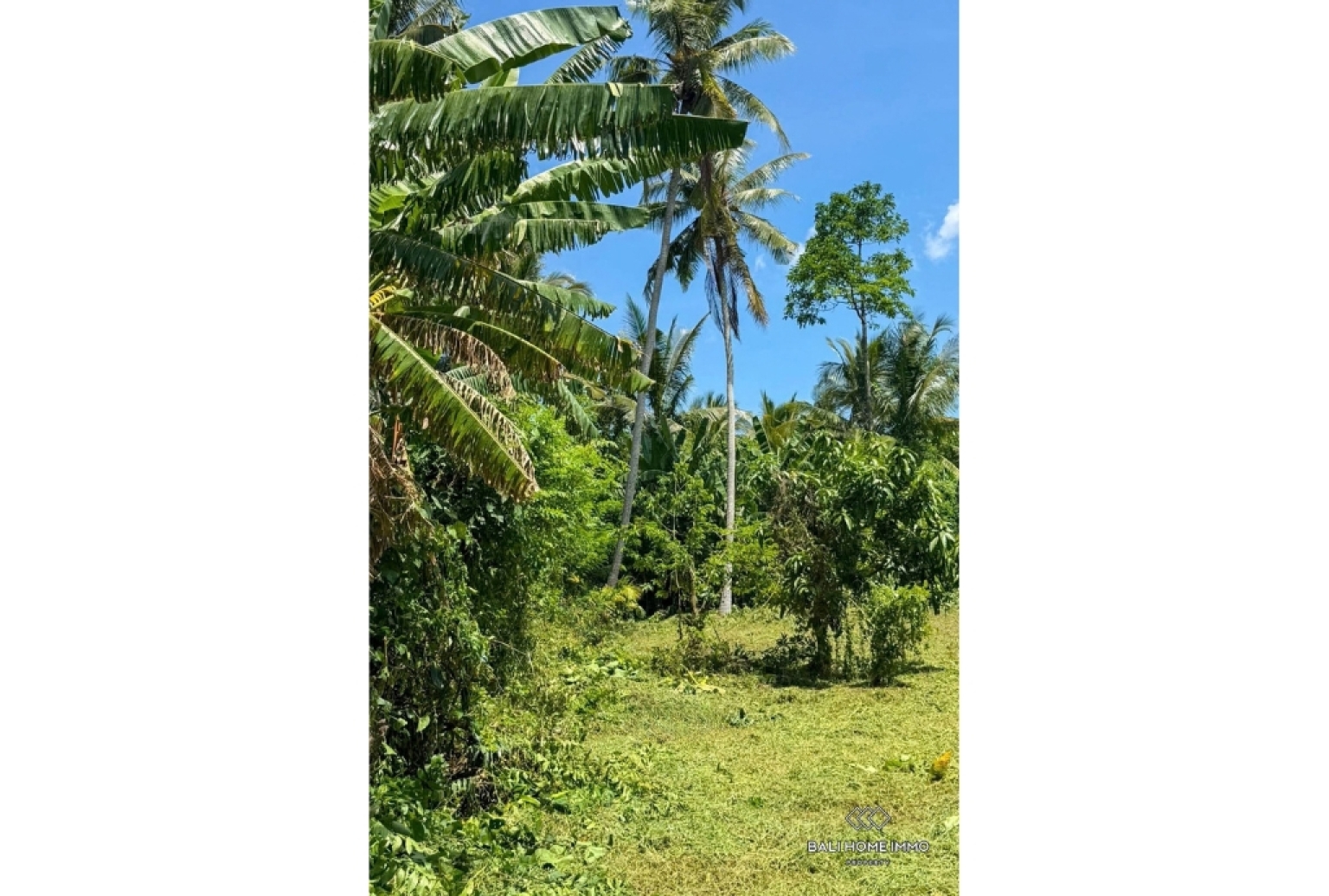 Strategic Land For Sale in Kedungu view 4