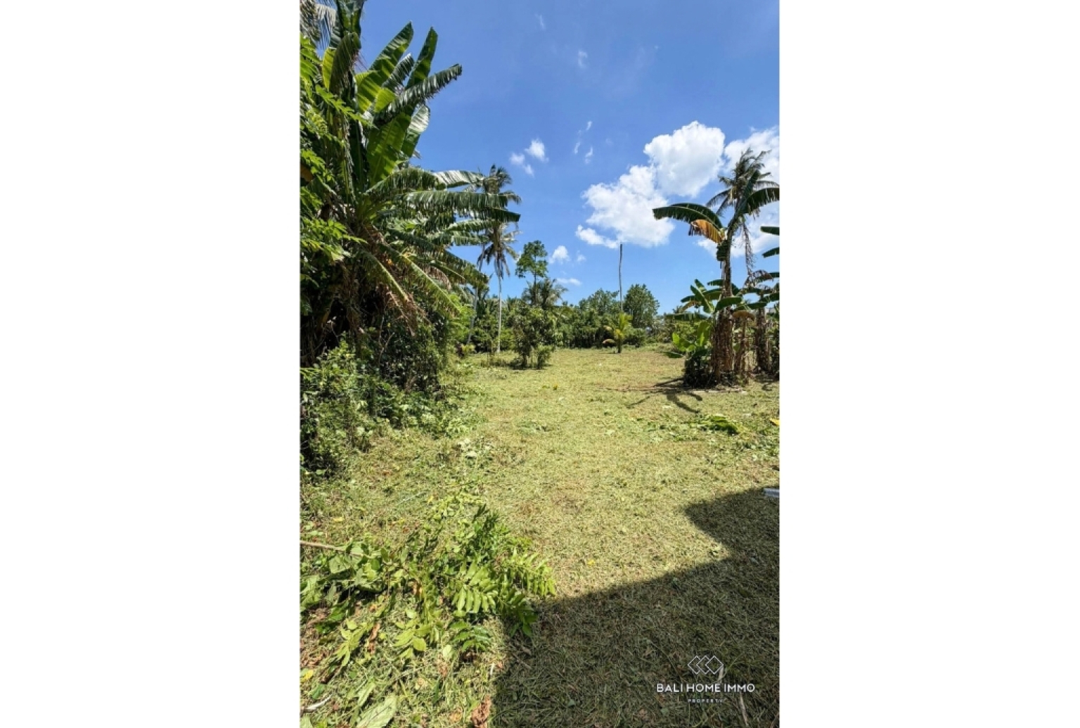 Strategic Land For Sale in Kedungu view 5