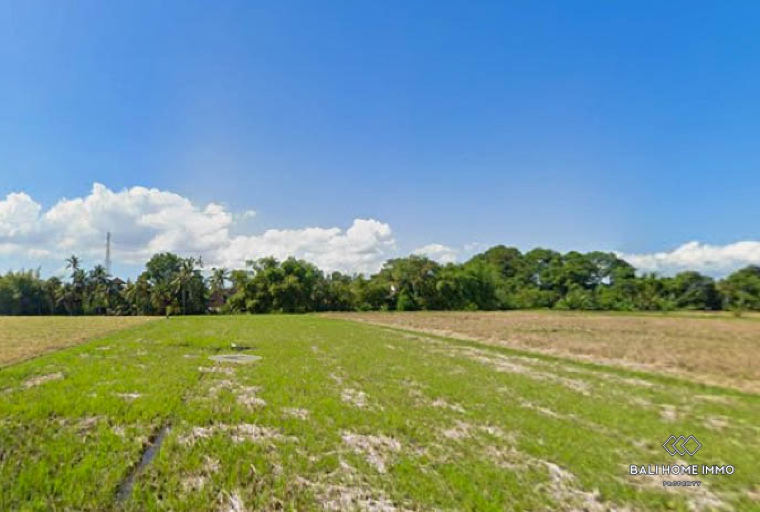 Strategic Pink Zone Land For Sale Leasehold in Belalang view 2
