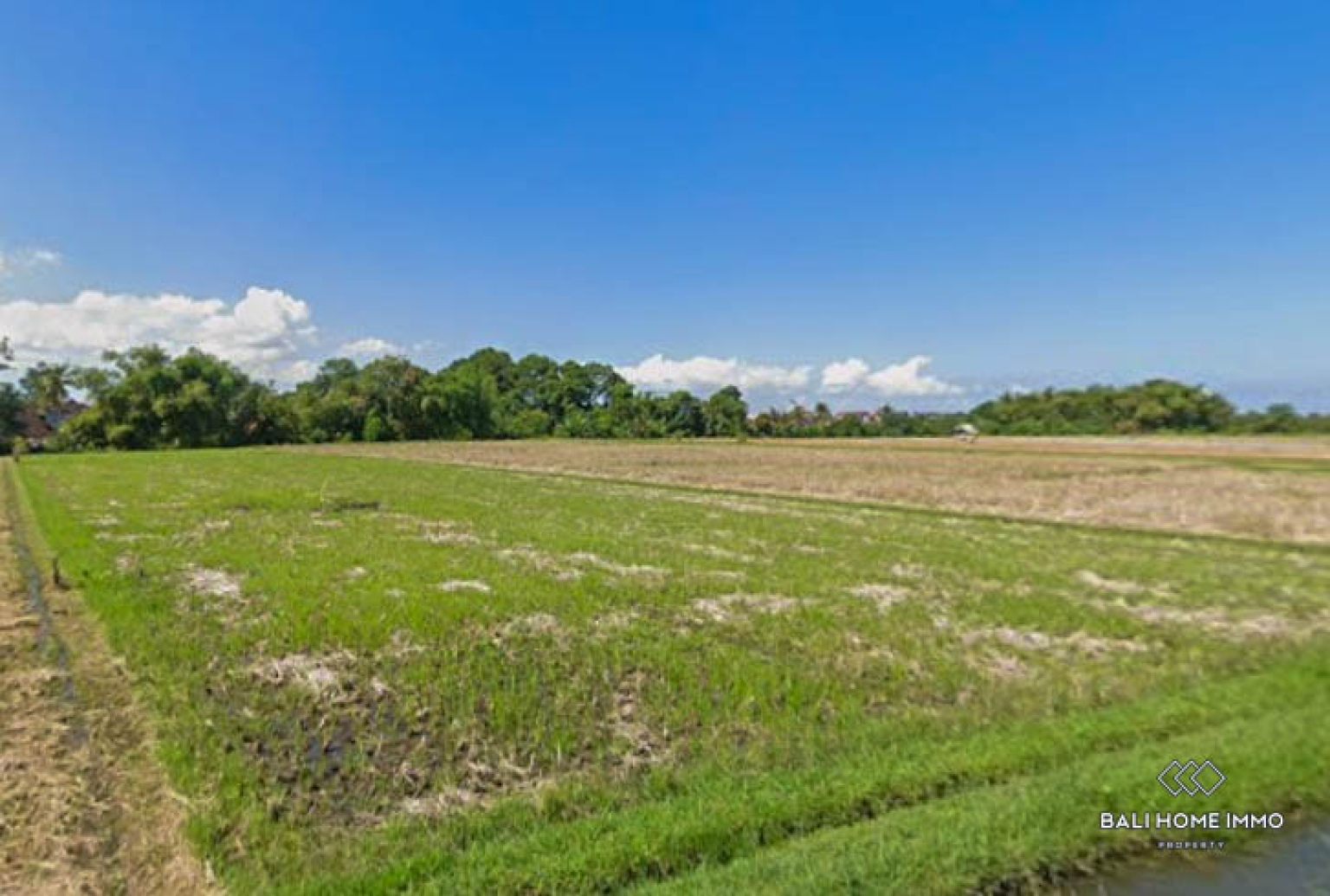 Strategic Pink Zone Land For Sale Leasehold in Belalang view 3