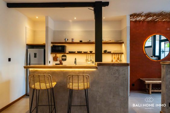 Image 3 from 1 Bedroom Apartment for Monthly Rental in Bali Canggu Berawa