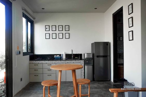 Image 4 from 1 Bedroom Apartment for Monthly Rental in Bali Kerobokan