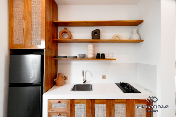 Image 8 from Apartemen 1 Kamar Disewakan di Canggu Batu Bolong