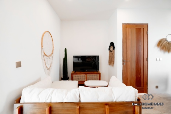 Image 3 from Apartemen 1 Kamar Disewakan di Canggu Batu Bolong