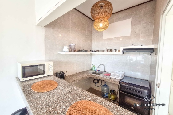 Image 5 from 1 Bedroom Apartment For Rent in Canggu Berawa