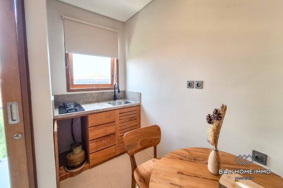 Image 8 from 1 Bedroom Apartment for Rent in Seseh Residential Side