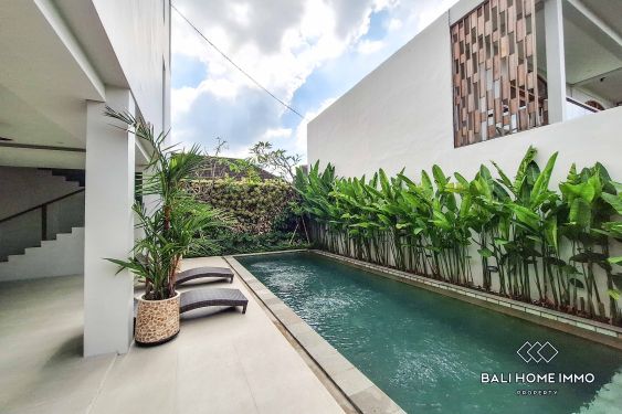 Image 3 from 1 Bedroom Apartment for Rent in Seseh Residential Side