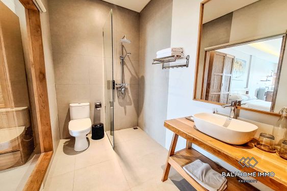 Image 5 from 1 Bedroom Apartment for Rent in Seseh Residential Side