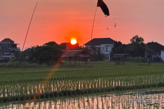 Image 14 from Apartemen 1 Kamar untuk dijual dan disewakan di Bali Canggu Berawa