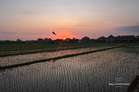 Image 15 from Apartemen 1 Kamar untuk dijual dan disewakan di Bali Canggu Berawa