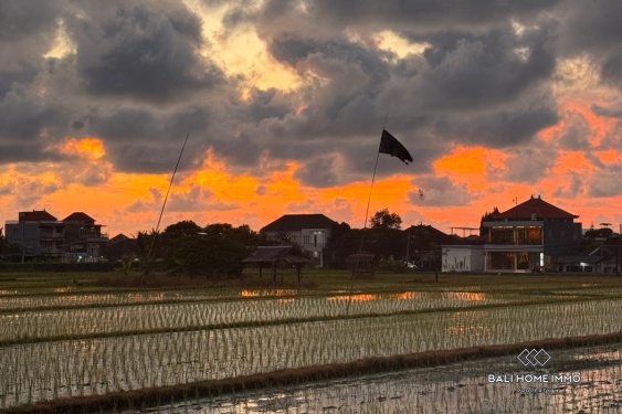 Image 16 from Apartemen 1 Kamar untuk dijual dan disewakan di Bali Canggu Berawa