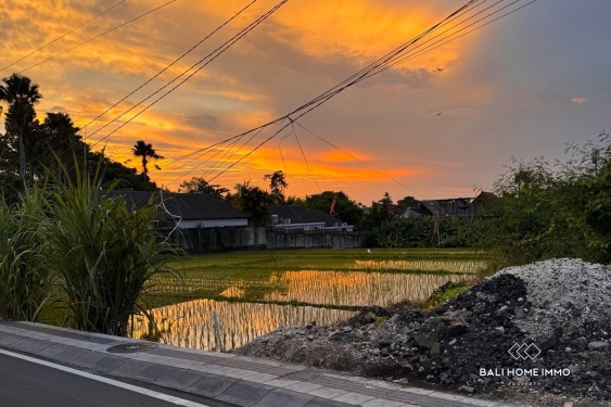 Image 17 from Apartemen 1 Kamar untuk dijual dan disewakan di Bali Canggu Berawa