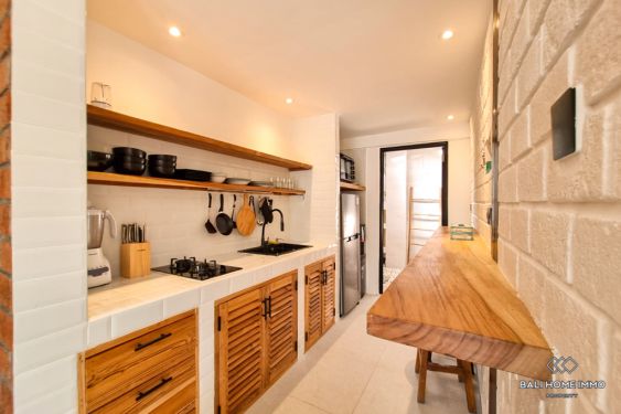 Image 13 from 1 Bedroom Apartment for Rent in Bali Canggu Berawa