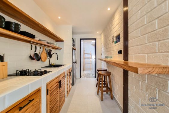 Image 12 from 1 Bedroom Apartment for Rent in Bali Canggu Berawa