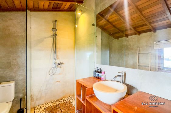 Image 10 from 1 Bedroom Apartment for sale and rental in Bali Canggu Berawa