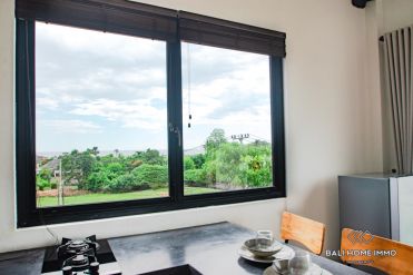 Image 9 from Apartemen 1 Kamar Tidur untuk Disewakan di Bali Pererenan