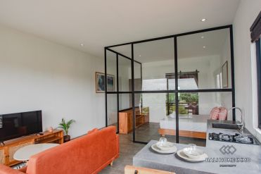 Image 5 from Apartemen 1 Kamar Tidur untuk Disewakan di Bali Pererenan