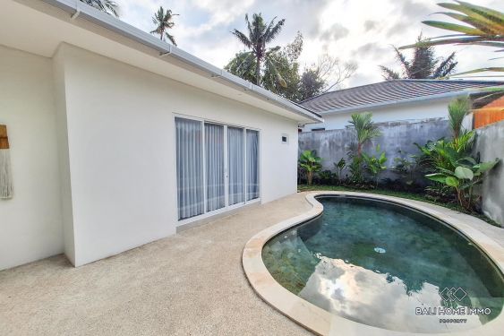 Image 2 from Disewakan Villa 1 Kamar Tidur di Kedungu Bali