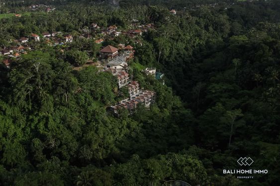 Image 2 from Villa 1 chambre avec vue sur la jungle à vendre dans un complexe de luxe à Ubud