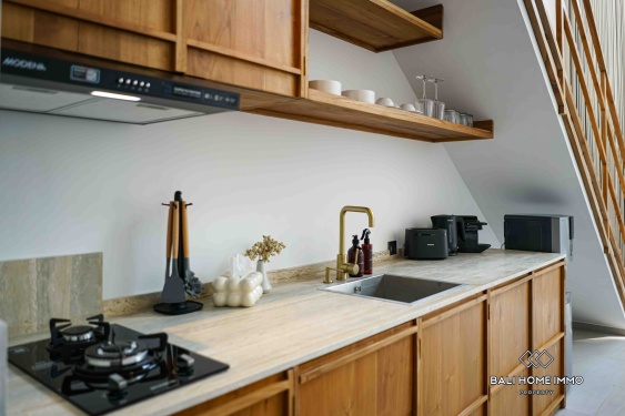 Image 9 from 1 Bedroom Mezzanine Style Villa For Sale in Pererenan Bali