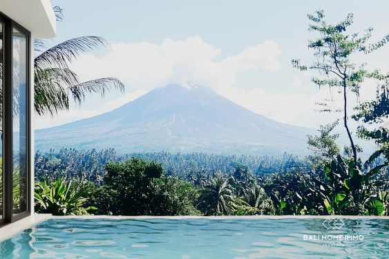 Image 10 from 1-Bedroom Modern Villa for Sale near Virgin Beach Karangasem Bali