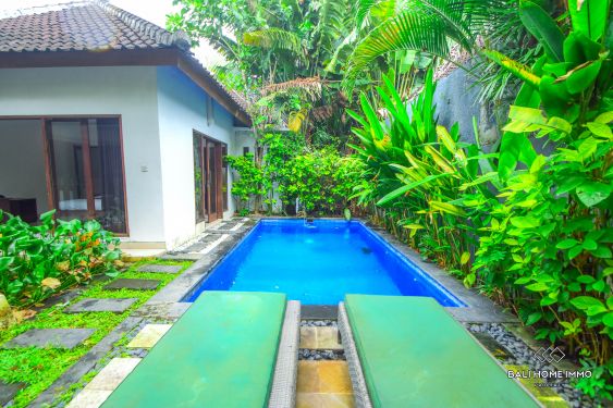 Image 2 from Villa Menakjubkan 1 Kamar Disewa Bulanan di Bali Kerobokan