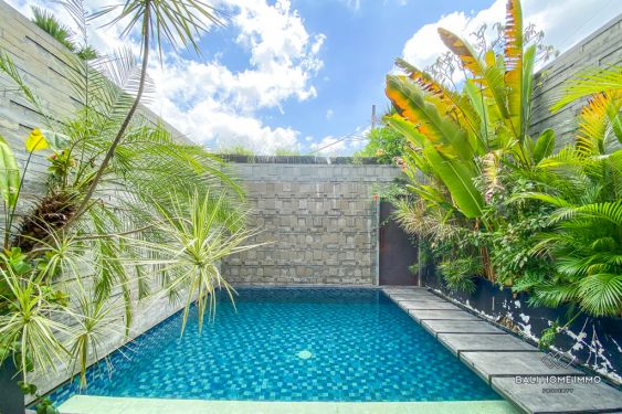 Image 14 from 1 BEDROOM VILLA FOR MONTHLY RENTAL IN BALI UMALAS