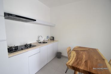 Image 5 from 1 Bedroom Villa for Rent in Pererenan Bali