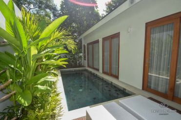 Image 3 from 1 Bedroom Villa for Rent in Pererenan Bali