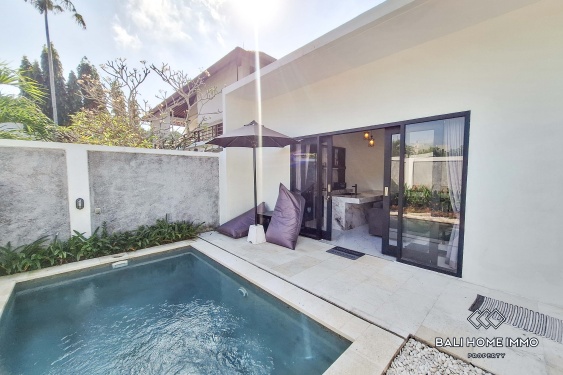 1 Bedroom Villa for Rent in Pererenan Northside
