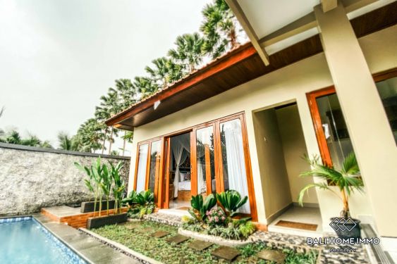 Image 11 from 1 Bedroom Villa for Rent in Ubud