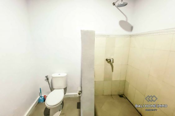 Image 9 from 1 Bedroom Villa for Rent in Ubud