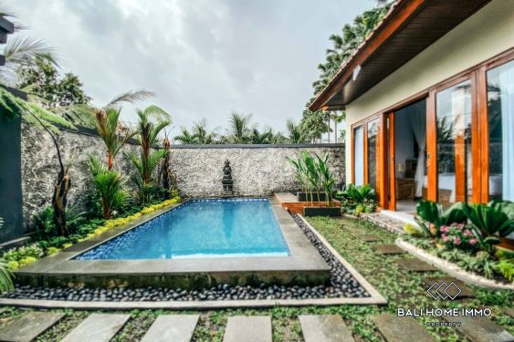 Image 12 from 1 Bedroom Villa for Rent in Ubud