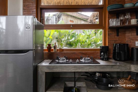 Image 8 from 1 Bedroom Villa For Rent in Canggu Residential Side