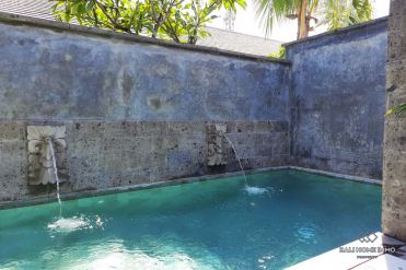 Image 10 from Villa 1 chambre à louer au mois et à l'année à Bali Sanur