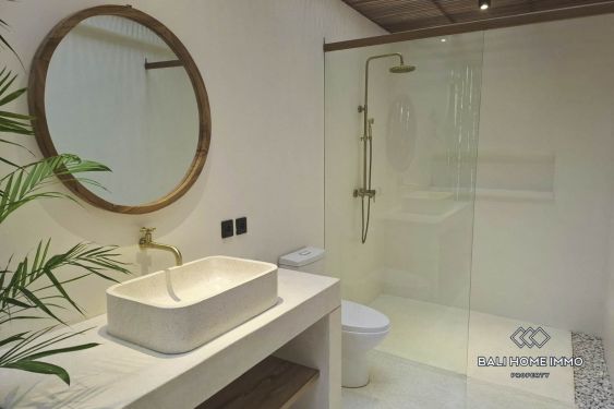 Image 14 from 1 Bedroom Villa for Sale and Rent near Balangan Beach