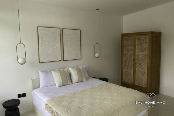 Image 9 from 1 Bedroom Villa for Sale and Rent near Balangan Beach