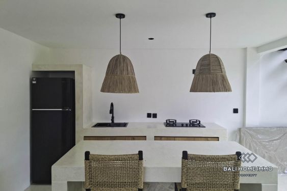 Image 8 from 1 Bedroom Villa for Sale and Rent near Balangan Beach