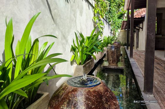 Image 6 from 1 Bedroom Villa For Yearly Rental in Bumbak Umalas