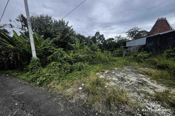Image 2 from 10.86 are land with river view for sale in Kaba Kaba