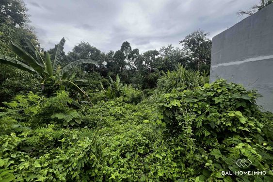 Image 3 from 10.86 are land with river view for sale in Kaba Kaba