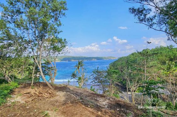 Image 4 from 10 are Beachfront Land for Sale in Nusa Ceningan