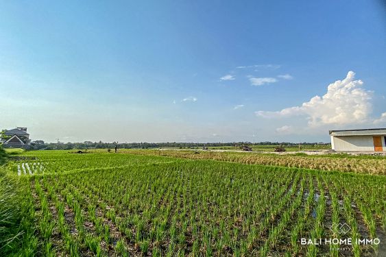 Image 3 from 10 Are land for sale leasehold in Bali Cemagi