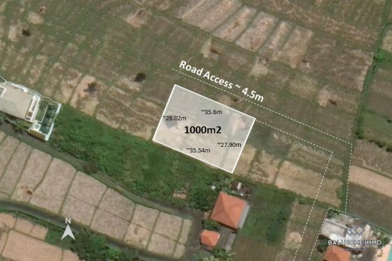 Image 1 from 10 Are land for sale leasehold in Bali Cemagi