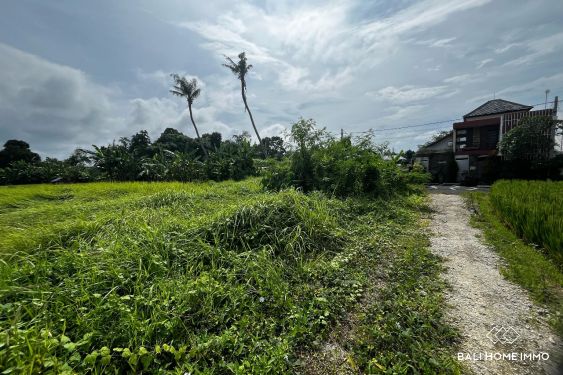 Image 7 from Terrain de 10 ares à vendre avec vue sur les rizières à Kedungu