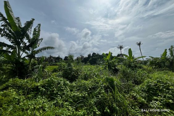 Image 5 from Terrain de 10 ares à vendre avec vue sur les rizières à Kedungu