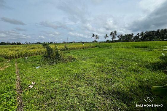 Image 4 from Terrain de 10 ares à vendre avec vue sur les rizières à Kedungu