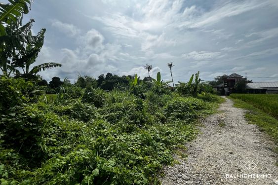 Image 6 from Terrain de 10 ares à vendre avec vue sur les rizières à Kedungu