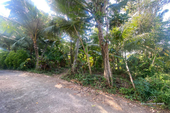 Image 4 from 10 are land in Nyanyi residential area for sale leasehold